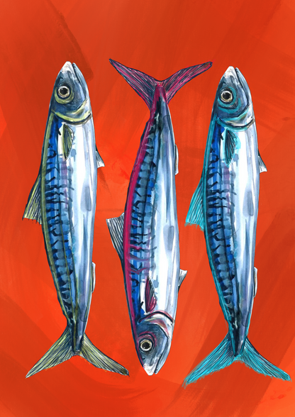 Camiseta oversize cremallera, estampado Sardinas